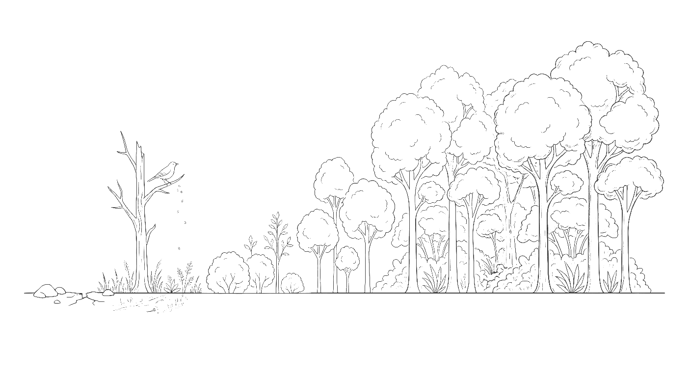 Ilustración de la sucesión del bosque nativo: de un árbol muerto con un ave a un bosque maduro